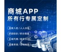 系統(tǒng)軟件開發(fā)與軟件系統(tǒng)定制開發(fā) 驅(qū)動企業(yè)數(shù)字化轉(zhuǎn)型的雙翼